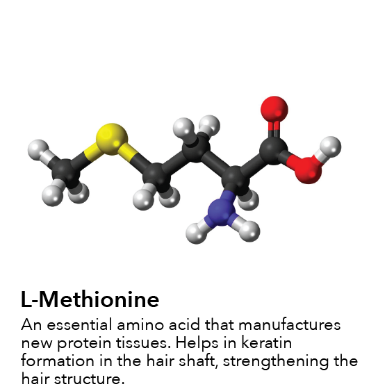 OurAyurvedicIngredients