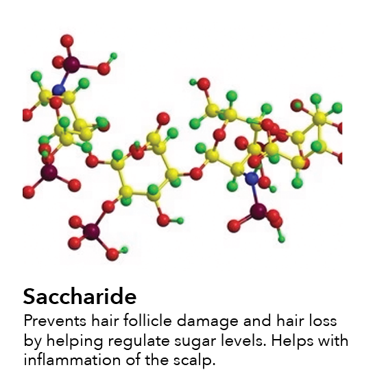 OurAyurvedicIngredients