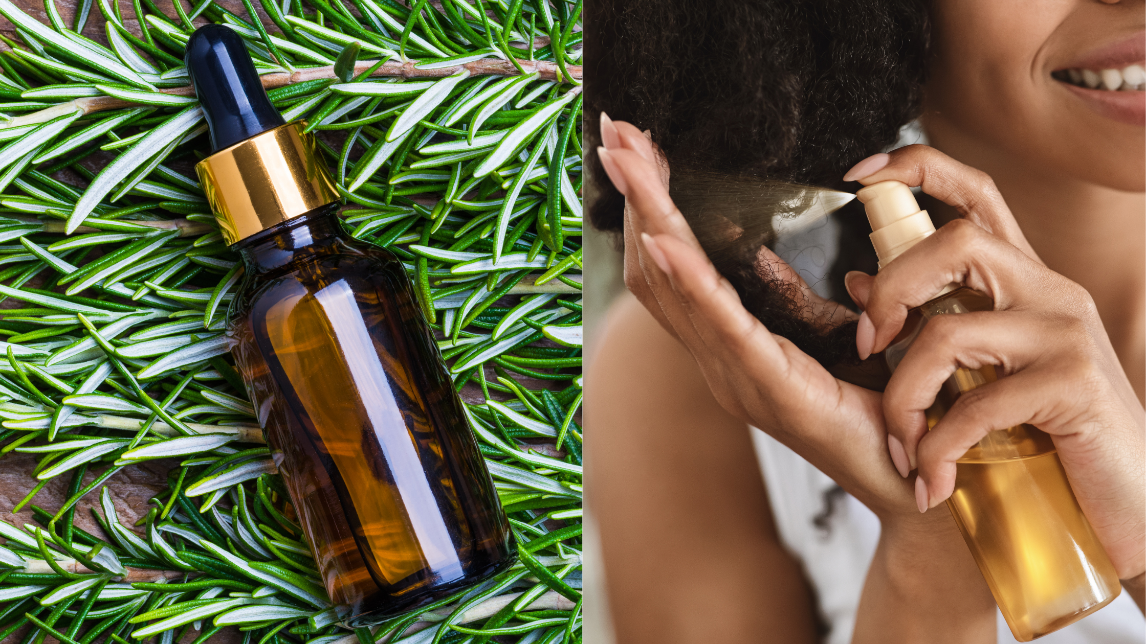 Rosemary for hair Loss