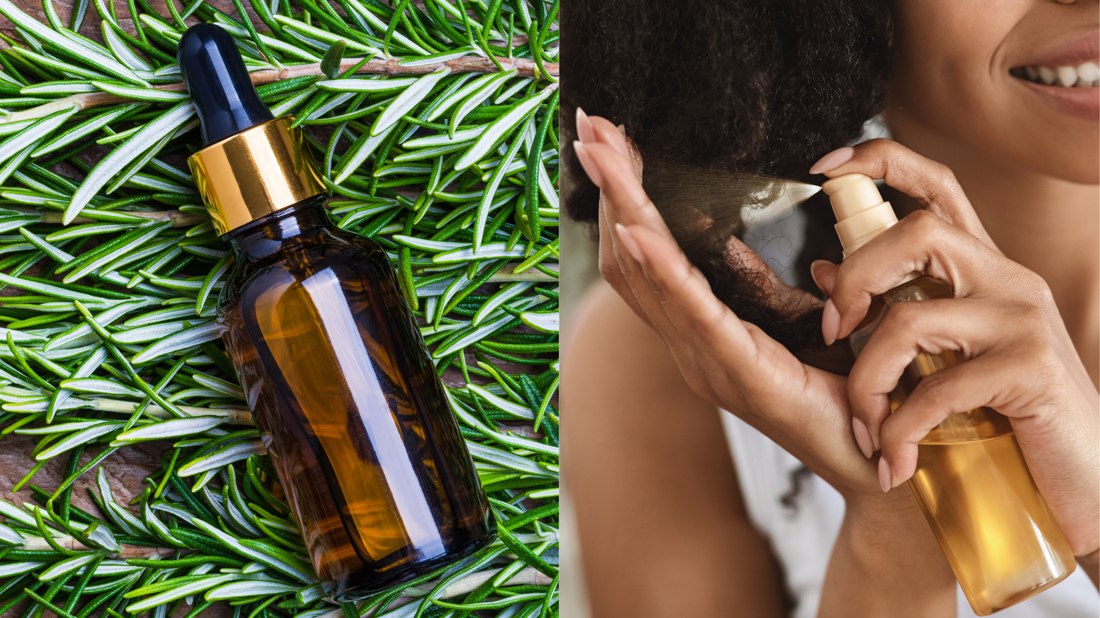 Examining Rosemary: Hair Loss Solution or Overhyped Myth