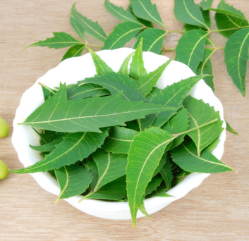 NEEM (AYURVEDIC MEDICINE)