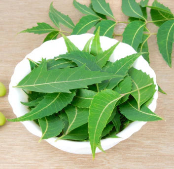 NEEM (AYURVEDIC MEDICINE)